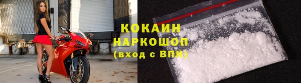 бошки Алексин