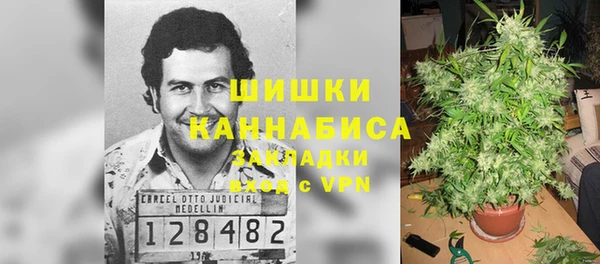 каннабис Алзамай
