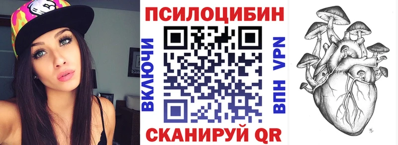магазин продажи   Черемхово  Псилоцибиновые грибы мицелий 