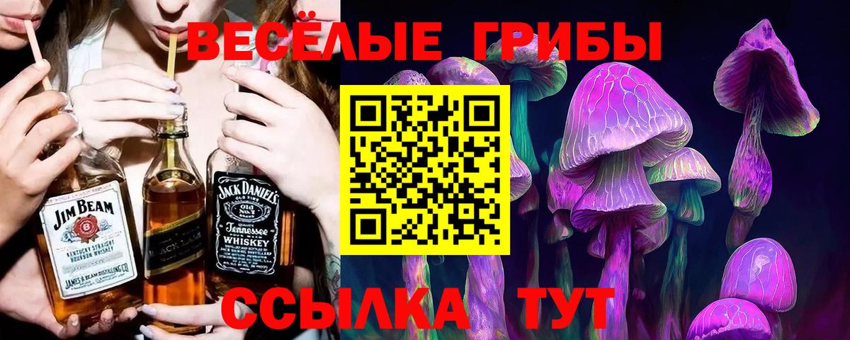 Галлюциногенные грибы Psilocybine cubensis  купить   Черемхово  Вход с VPN 